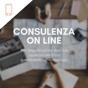 Consulenza on line