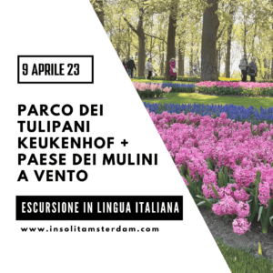 Visita Parco Dei Tulipani E Paese Dei Mulini A Vento in ITALIANO (9 aprile/pasqua)